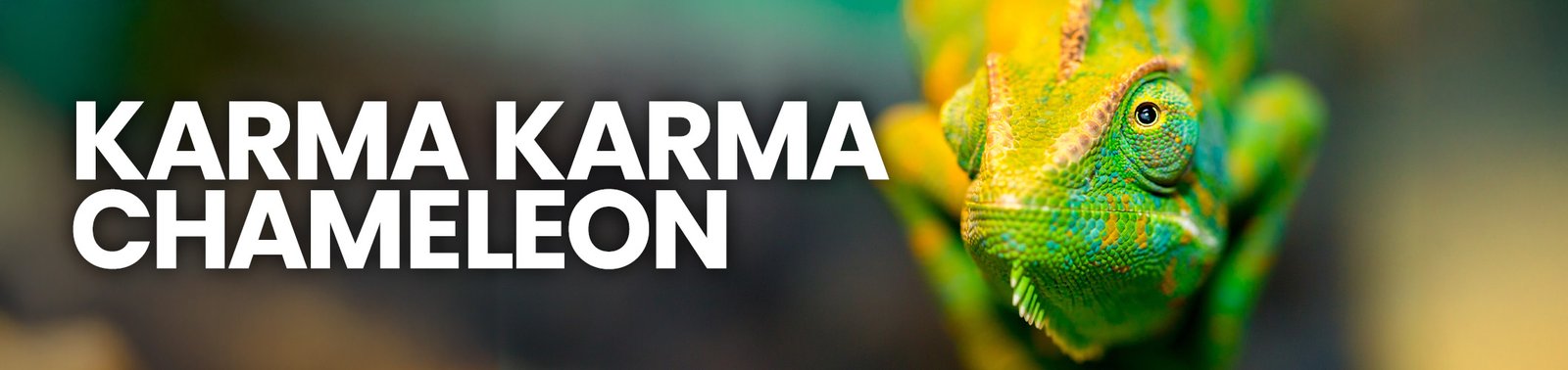 Chameleon_Supplies_banner_