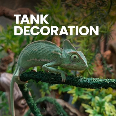 Chameleon_Tank_Decoration_for_sale_usa