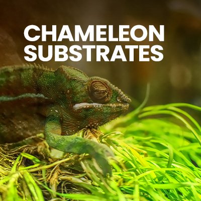 Square_Chameleon_Substrates_for sale