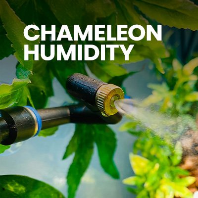 buy_Chameleon_Humidity_near_me