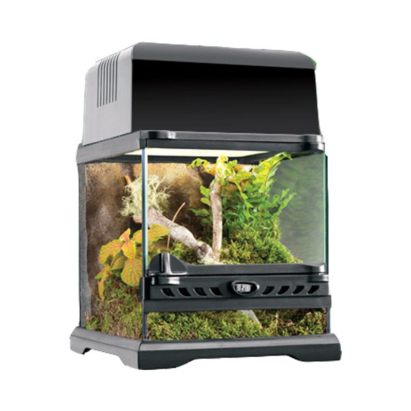 Exo Terra Glass Terrarium 20x20x20cm